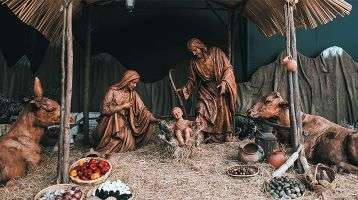 Merry Christmas from Preda
