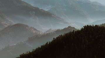 Fog hanging over rolling hills