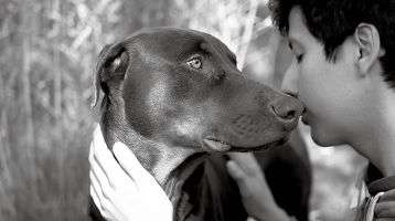 A boy and his dog