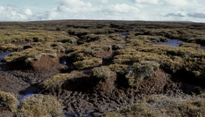 Irish peat bog