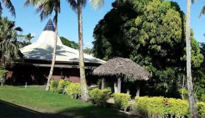 Fiji Diary