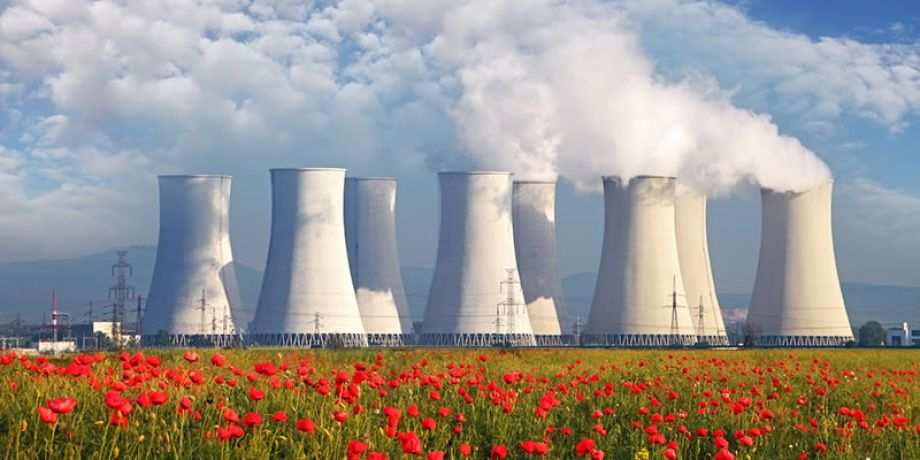 Nuclear power plan cooling towers among a sea of red flowers