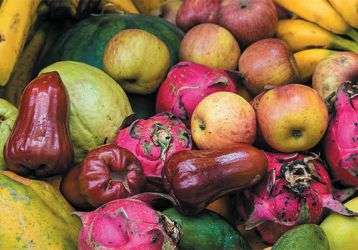 Bananas, apples, mangos, kiwi and other fruit