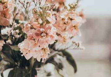 bouquet of flowers